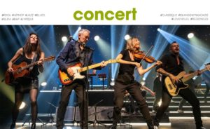 Concert de la tournée Héritage Goldman