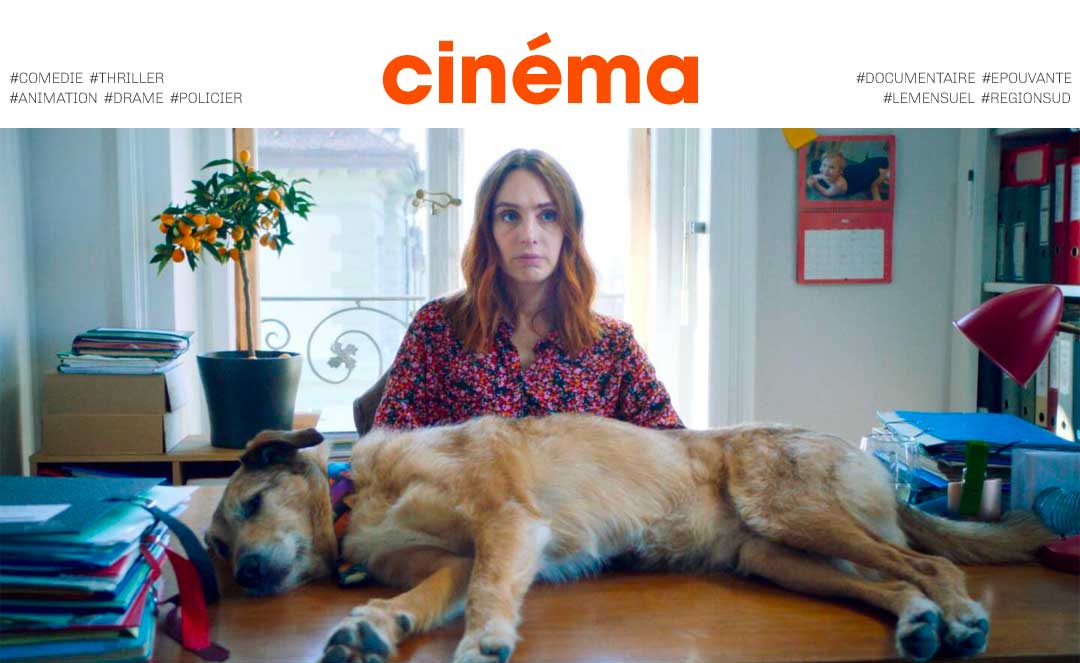CINEMA le proces du chien comedie avec laetitia dosch francois damiens jean pascal zadi "Le procès du chien" : Un premier film délirant avec Laetitia Dosch, François Damiens et Jean-Pascal Zadi word1