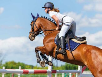 Longines Global Champions Tour Jumping International de Cannes 2026