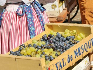 Fête des vendanges de Sainte-Maxime 2026