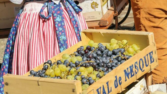 Fête des vendanges de Sainte-Maxime 2026