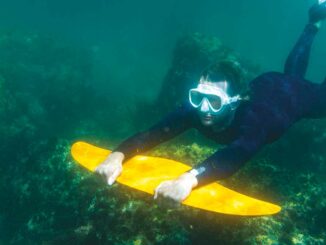 Le DeepFoil de Nereïs Ocean