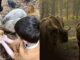 activites-avec-les-animaux-sorties-nature