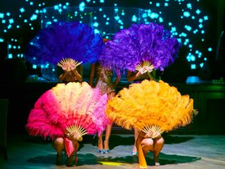 Cabaret Le Turlututu • Mandelieu