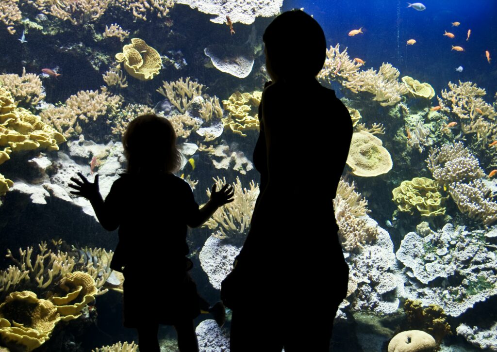 les-beaux-musees-du-var-alpes-maritimes-monaco-Musée-océanographique-de-Monaco