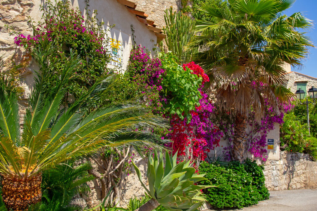 les-plus-beaux-jardins-a-visiter