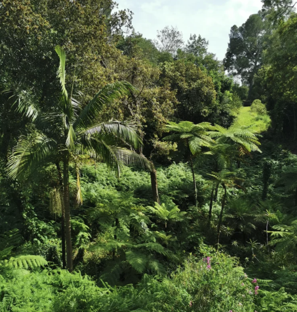Jardins remarquables de le Côte d'Azur, Domaine du Rayol