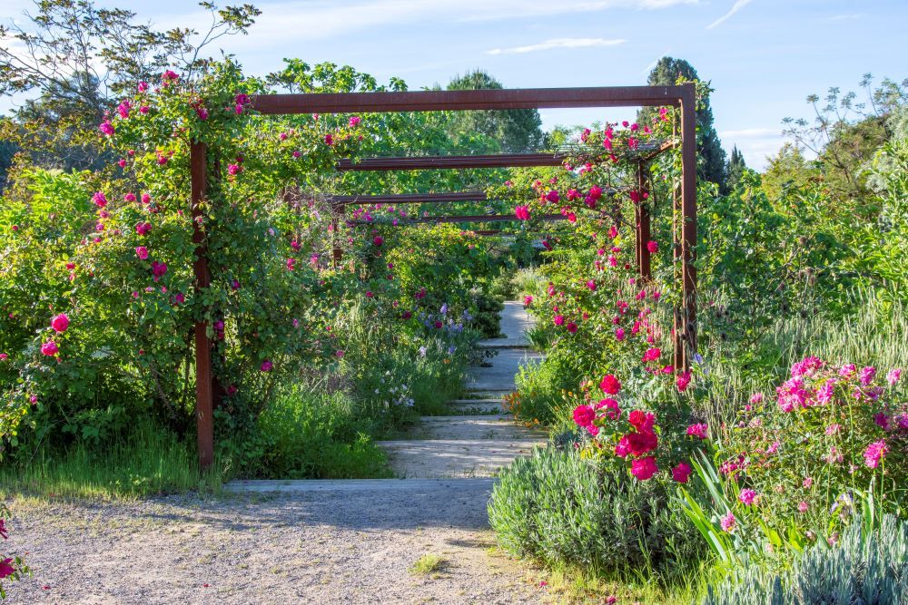 Jardins remarquables de le Côte d'Azur