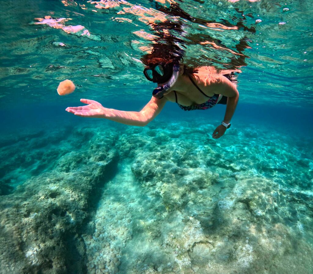 activites-aquatiques-idees-de-sorties-Var-et-Alpes-Maritimes-snorkeling