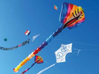 Festival International de l’Air de Fréjus 2026