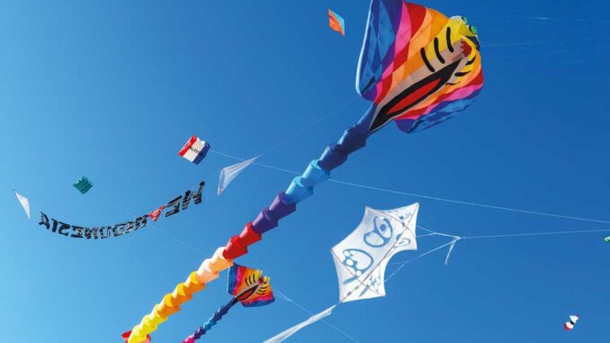 Festival International de l’Air de Fréjus 2026