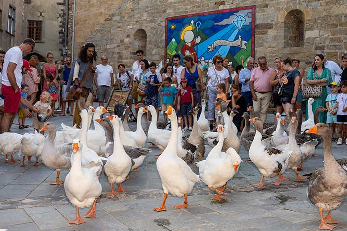 Les Médiévales de la Saint‑Michel 2026 à Grimaud