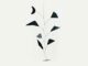 Expo "Calder, équilibre en couleurs" 2026