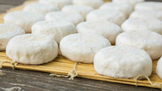 Vivez Provence 2026 à Sainte-Maxime