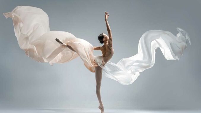 Festival de Danse Cannes - Côte d'Azur 2026