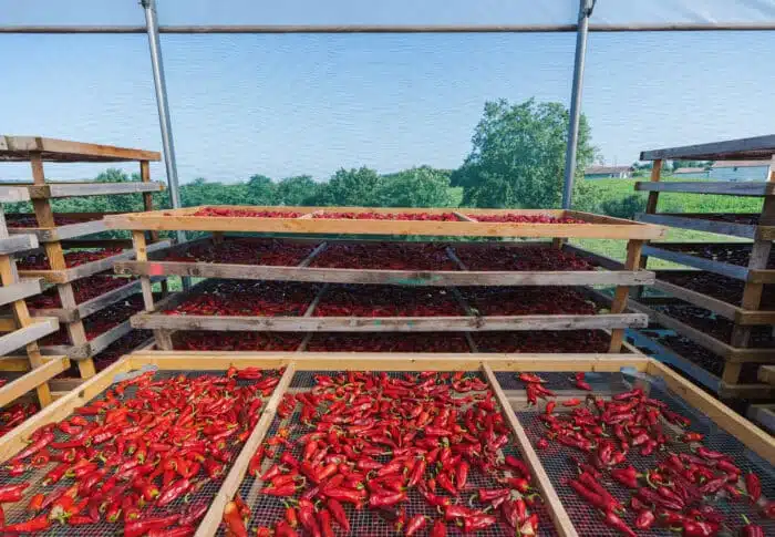 Espelette dévoile ses charmes